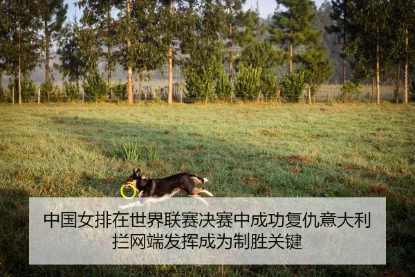 中国女排在世界联赛决赛中成功复仇意大利 拦网端发挥成为制胜关键